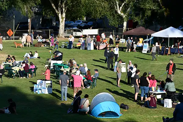 Photo from high angle showing BBQ attendees